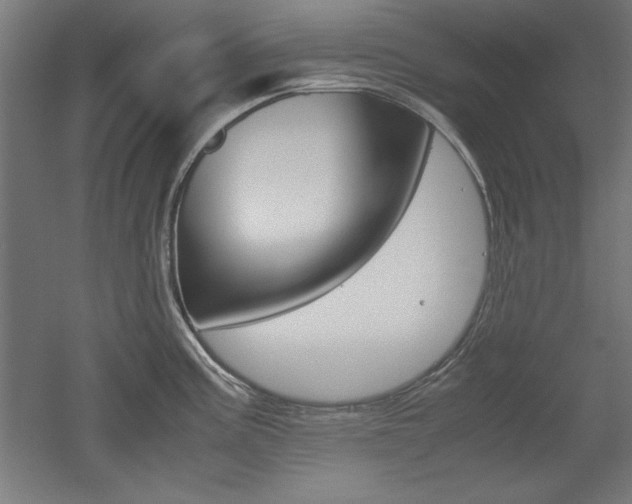 X0000052581195200507010905