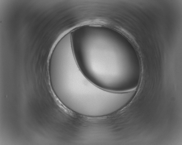 X0000052581200200507010905