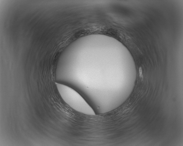 X0000052581203200507010904