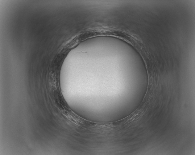 X0000052581205200507010904