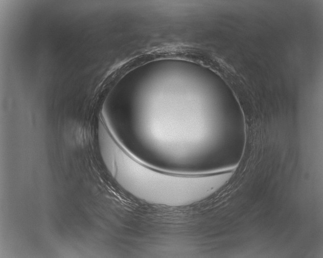 X0000052581206200507010904
