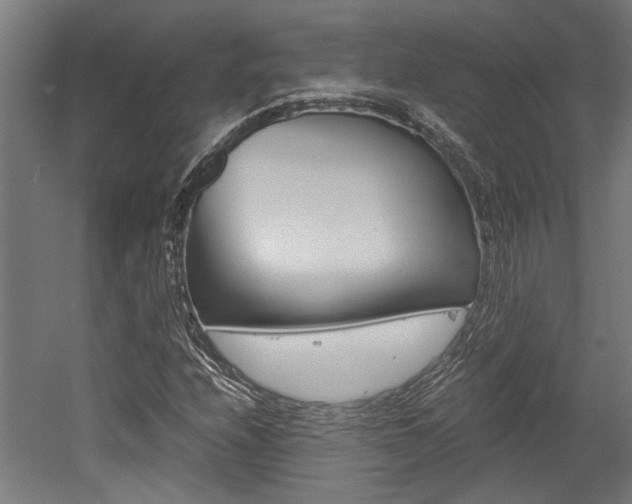 X0000052581208200507010904