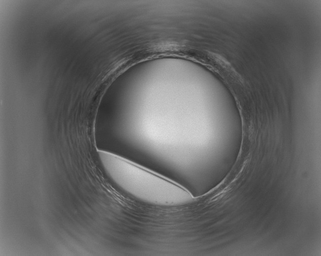 X0000052581209200507010904