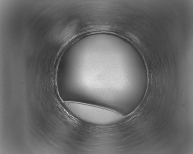 X0000052581212200507010905