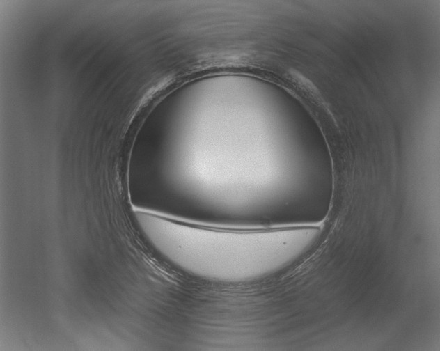 X0000052581218200507010905