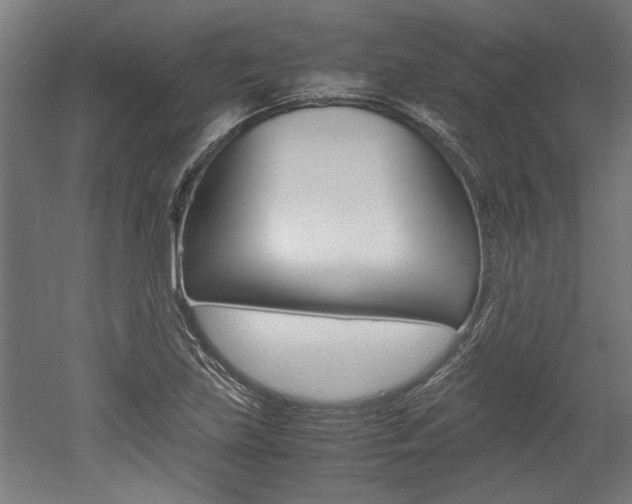 X0000052581219200507010905