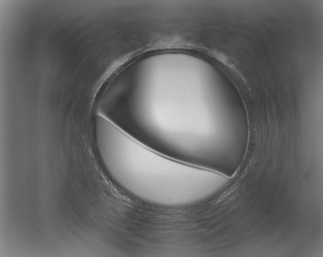X0000052581221200507010905