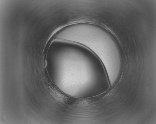 X0000052581222200507010905