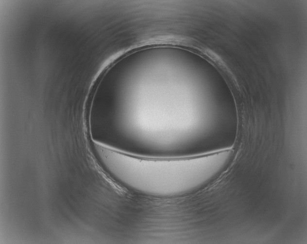 X0000052581230200507010905
