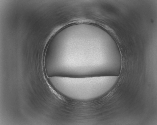 X0000052581231200507010905