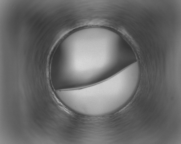 X0000052581232200507010905