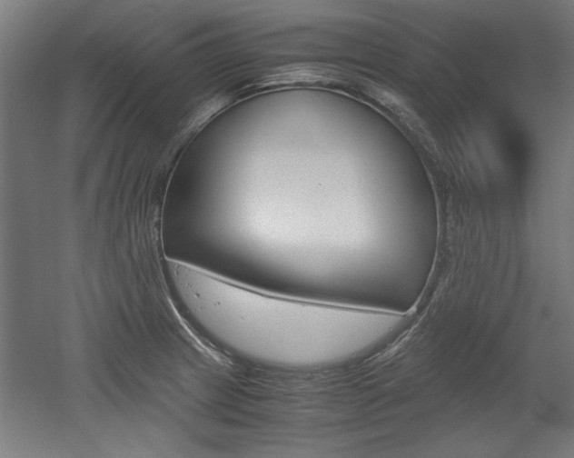 X0000052581233200507010905
