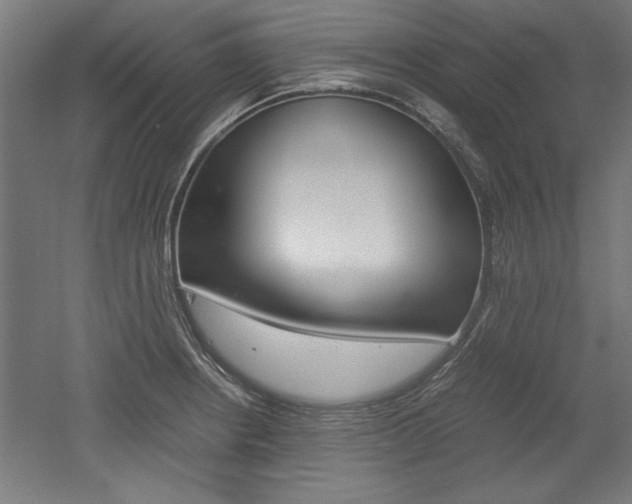 X0000052581234200507010905
