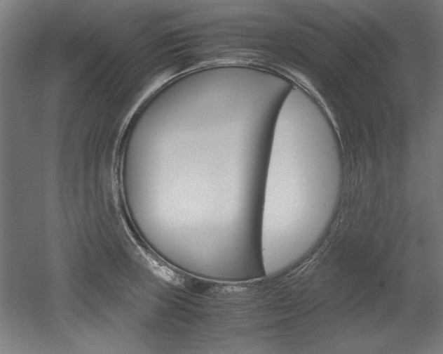 X0000052581235200507010905