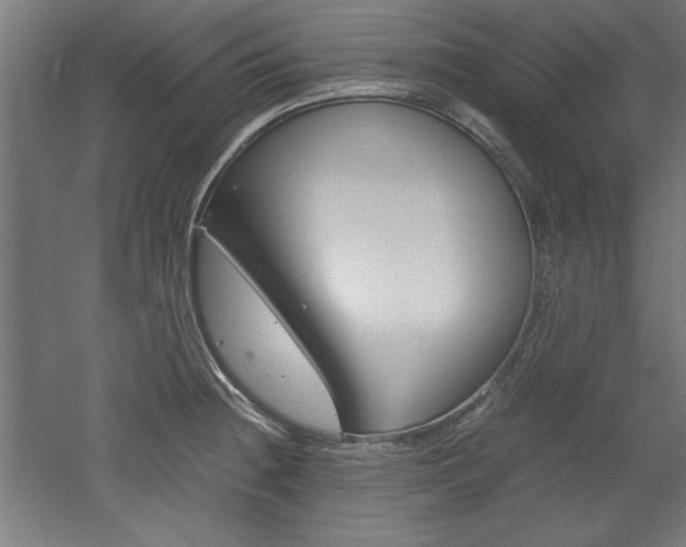 X0000052581236200507010905