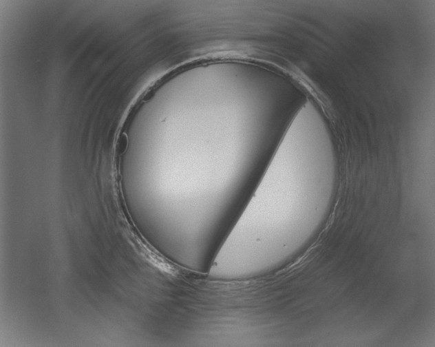 X0000052581240200507010905