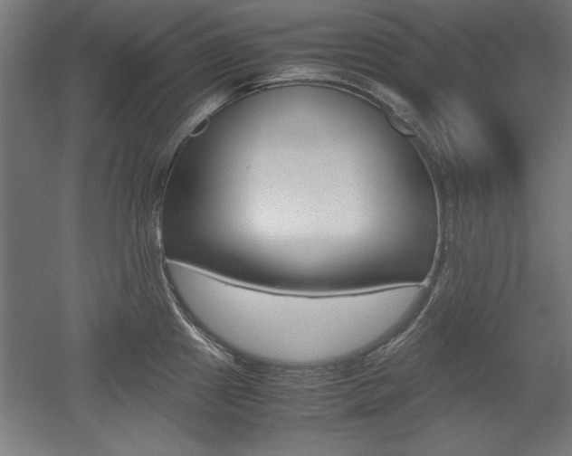 X0000052581241200507010905