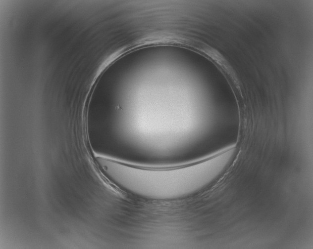 X0000052581242200507010905