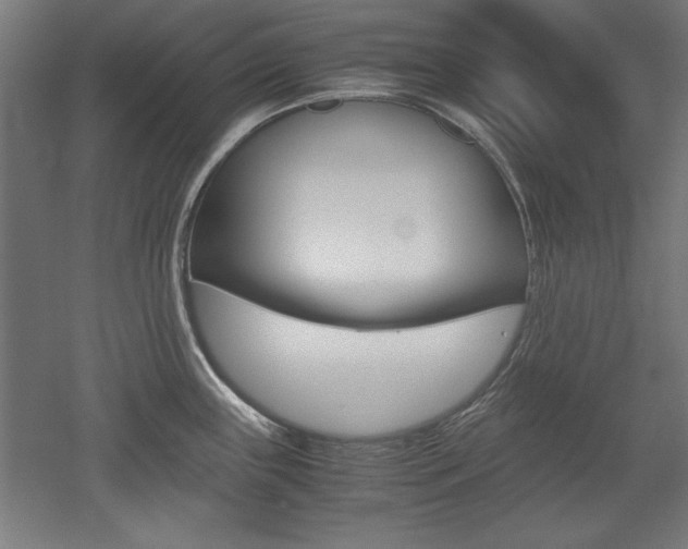 X0000052581243200507010905