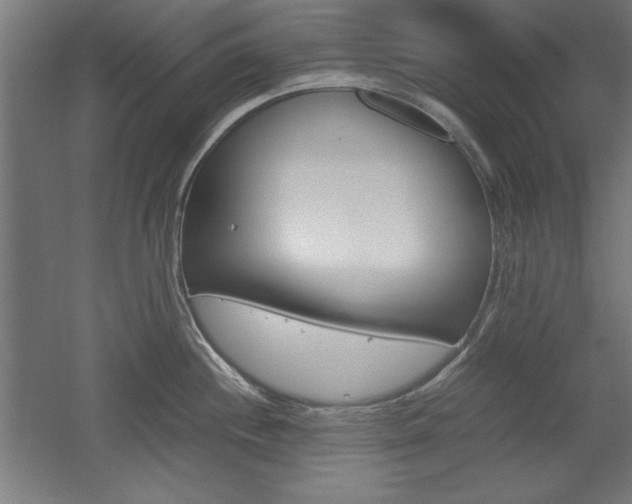 X0000052581244200507010905