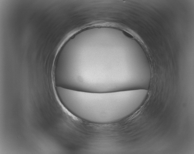 X0000052581247200507010905