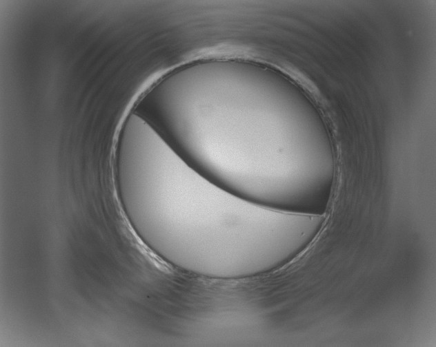 X0000052581248200507010905