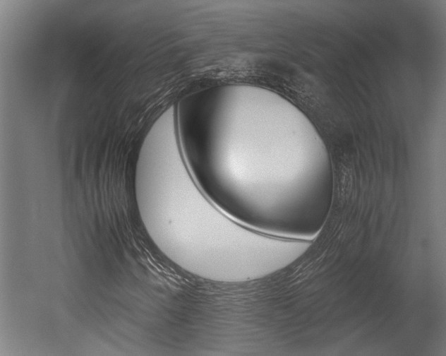 X0000052581250200507010904