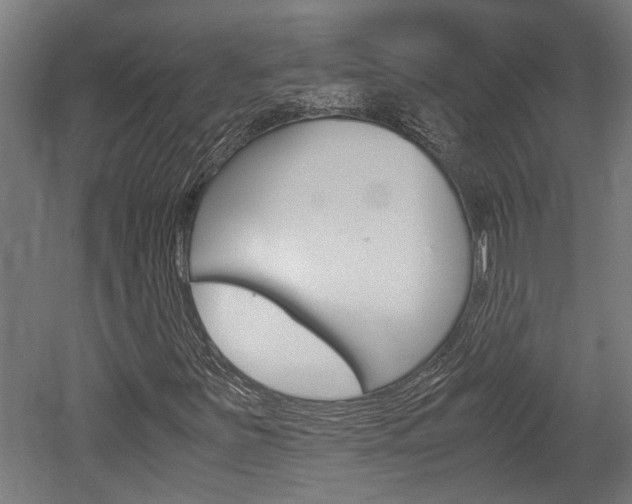 X0000052581251200507010904
