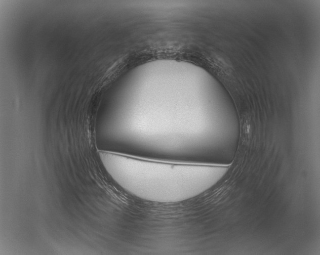 X0000052581252200507010904