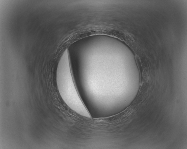X0000052581253200507010904