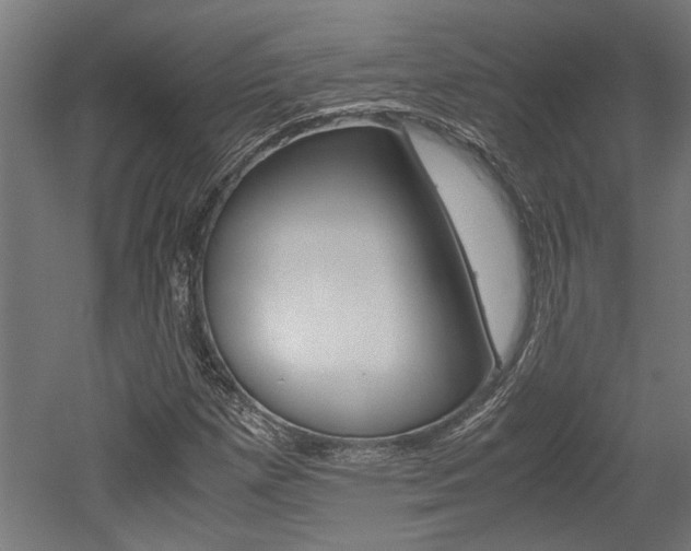 X0000052581257200507010904