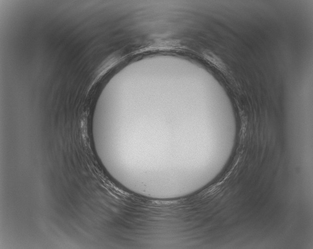 X0000052581258200507010904