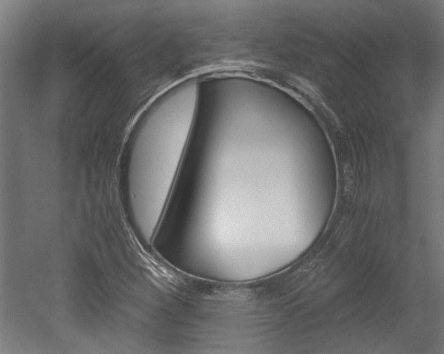 X0000052581260200507010904