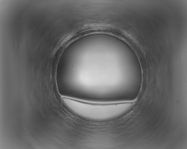 X0000052581261200507010904