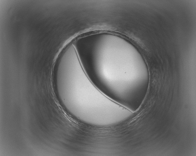 X0000052581264200507010904