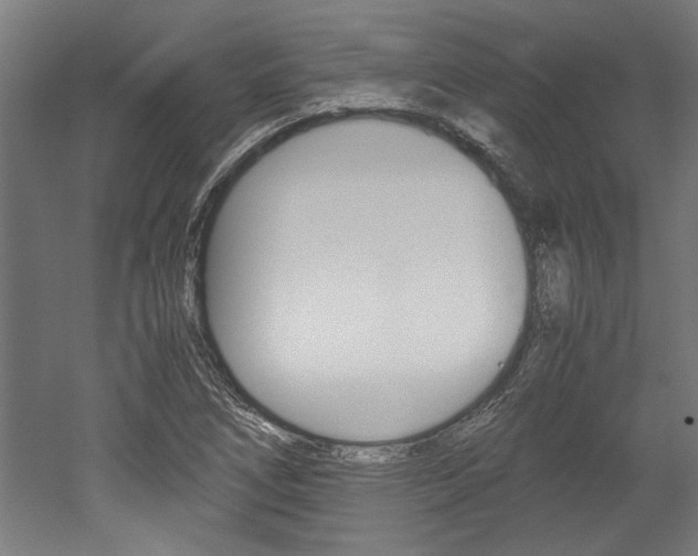 X0000052581266200507010904