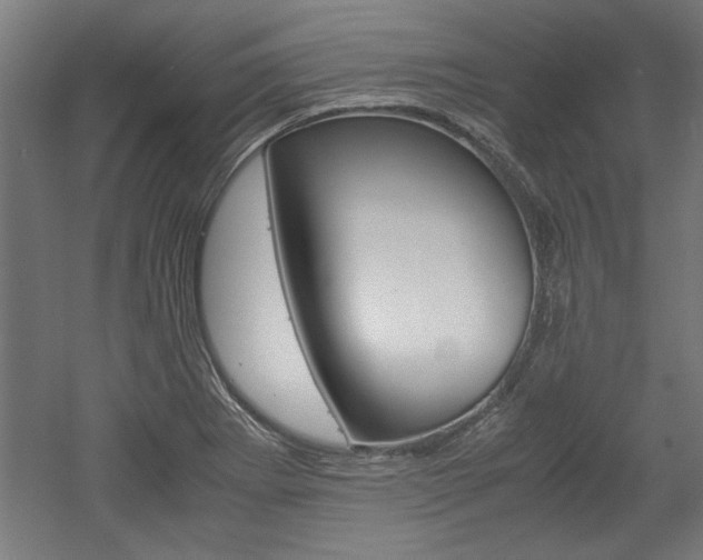 X0000052581273200507010904