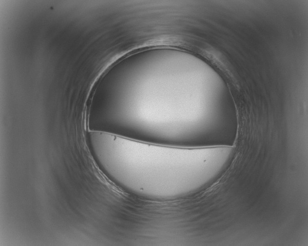 X0000052581276200507010904