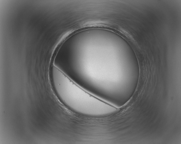 X0000052581277200507010904