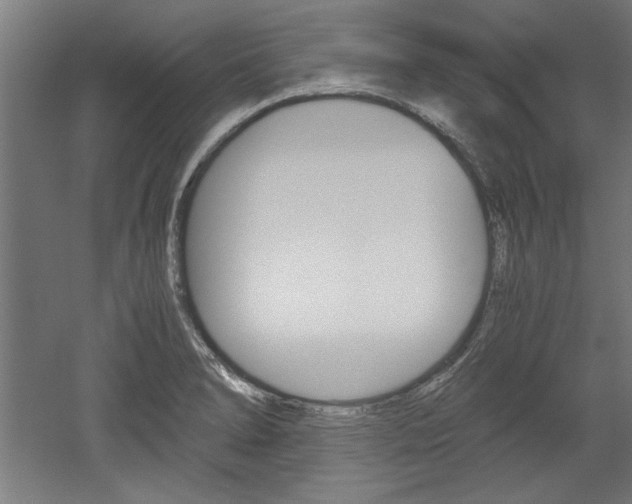 X0000052581278200507010904