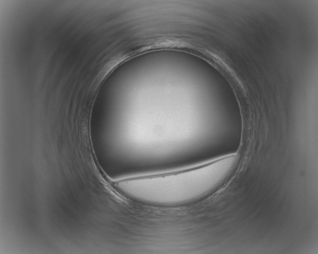 X0000052581281200507010904
