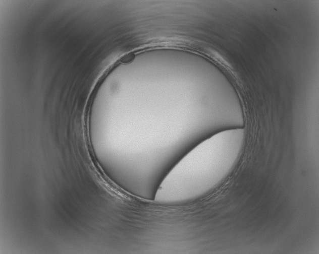 X0000052581283200507010904