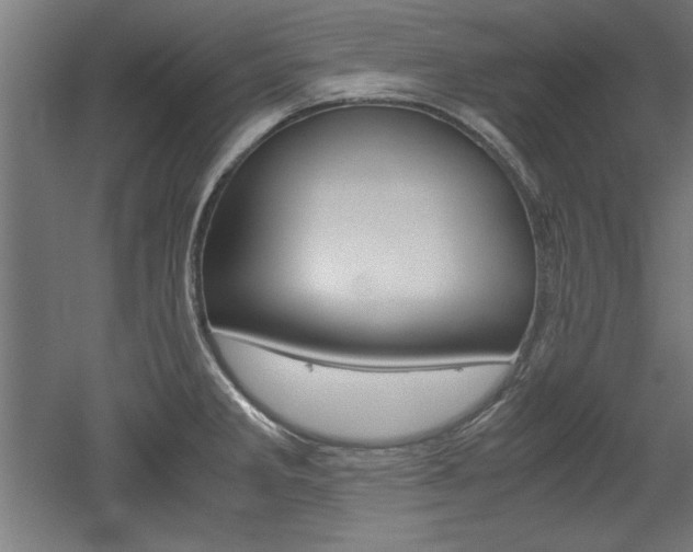 X0000052581285200507010904