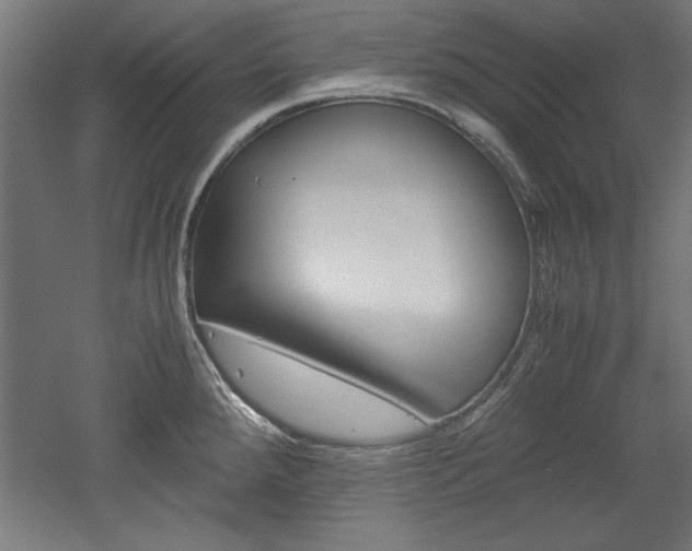 X0000052581288200507010904
