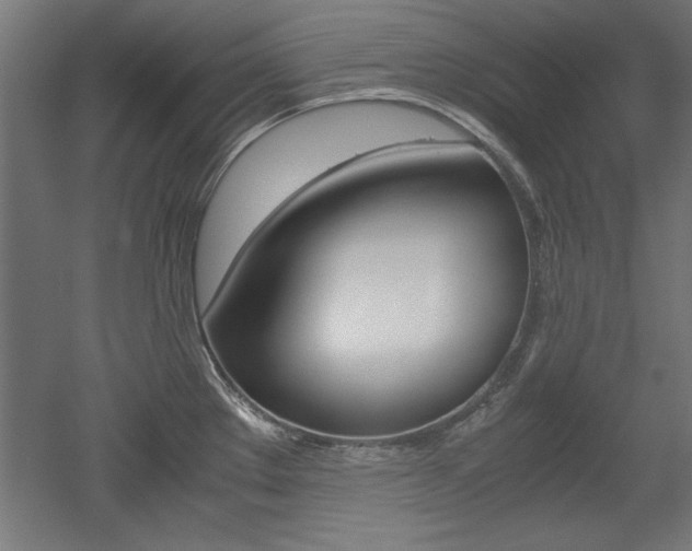 X0000052581289200507010904