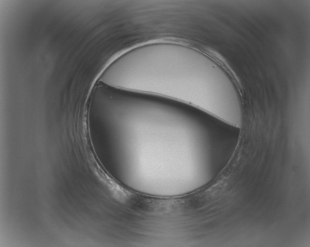 X0000052581292200507010904