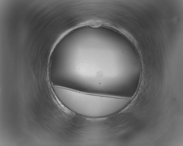 X0000052581296200507010904