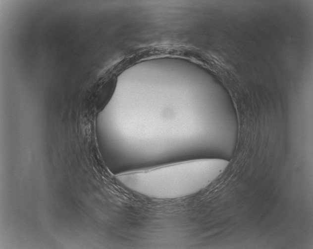 X0000052581302200507010903