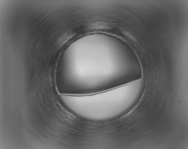 X0000052581305200507010903