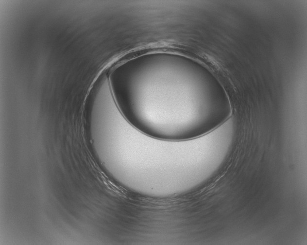 X0000052581308200507010903